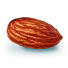 single almond