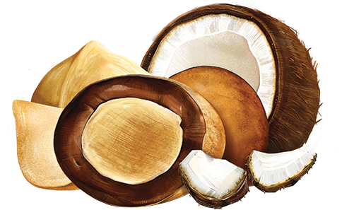 Chocolate Covered Macadamias - Milk Chocolate Coconut Small Bag Product Image