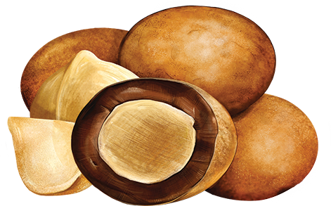 Chocolate Covered Macadamias - Milk Chocolate Mini Mauna Product Image