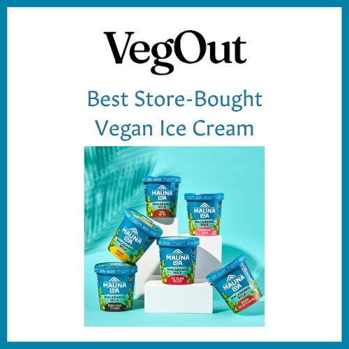 VegOut - Best Store-Bought Vegan Ice Cream