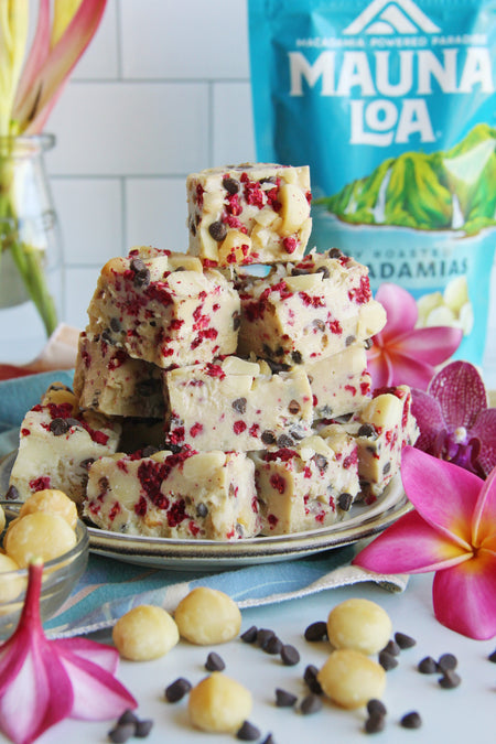 Macadamia Raspberry Dark Chocolate Freezer Fudge