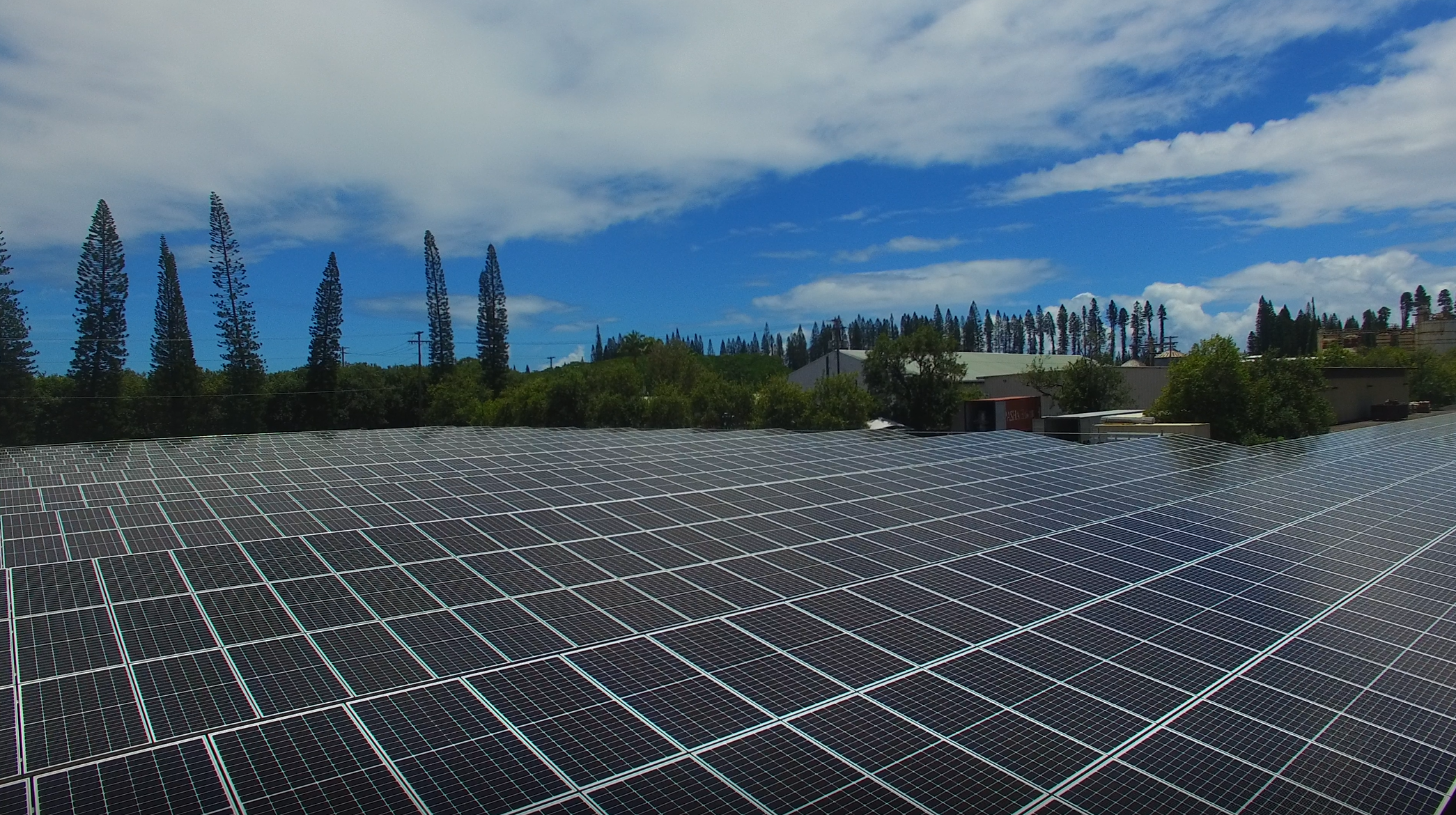 Traditional Hawaiian Blessing for New Solar Panels