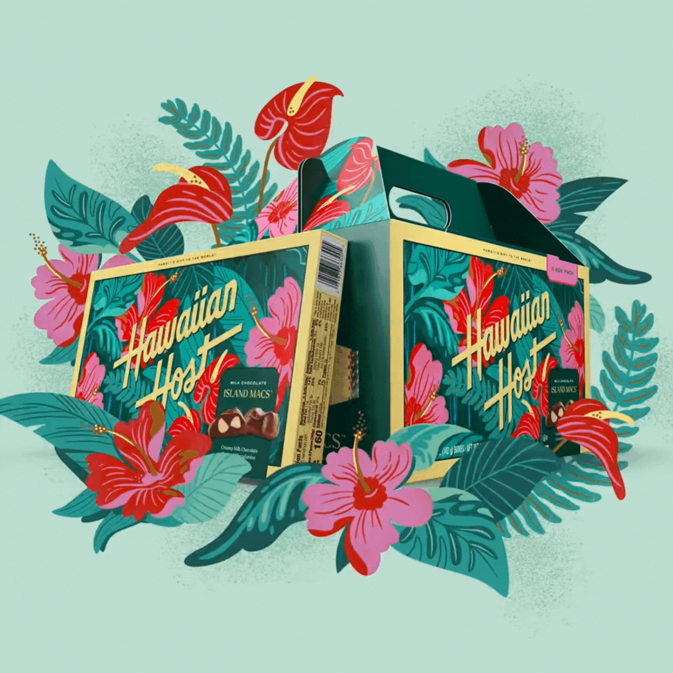 New Hibiscus Box Launches