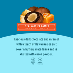 Chocolate Covered Macadamias - Dark Chocolate Sea Salt Caramel Medium Bag