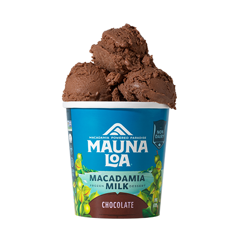 Lokai 2025 ice cream