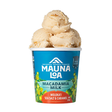 Non-Dairy Ice Cream - Moloka'i Sea Salt & Caramel - Hawaiian Host X Mauna Loa