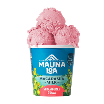 Non-Dairy Ice Cream - Strawberry Guava - Hawaiian Host X Mauna Loa