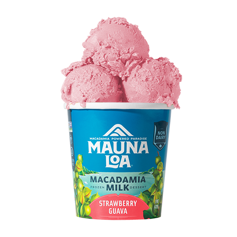 Non-Dairy Ice Cream - Strawberry Guava - Hawaiian Host X Mauna Loa