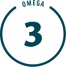 Omega 3 icon